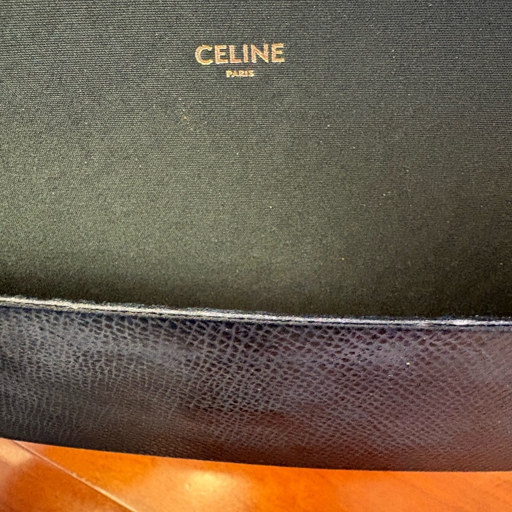 Celine Triomphe 01 Sunglasses in Acetate - Picture 11 of 15